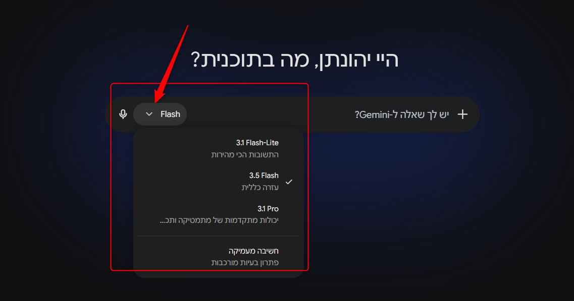 בחירת מודל ב-Gemini